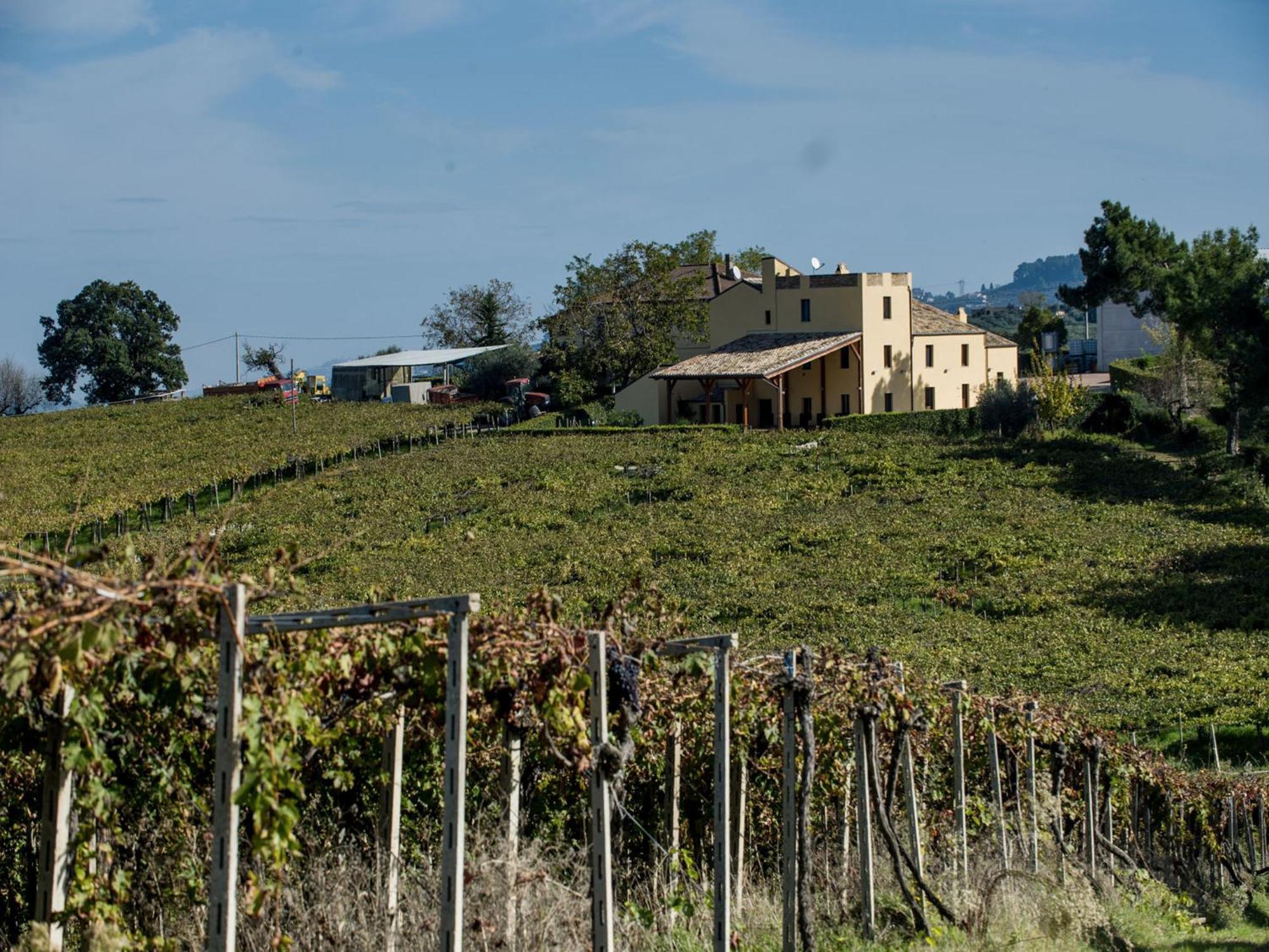 Masseria Del Vino Loreto Aprutino Exterior foto
