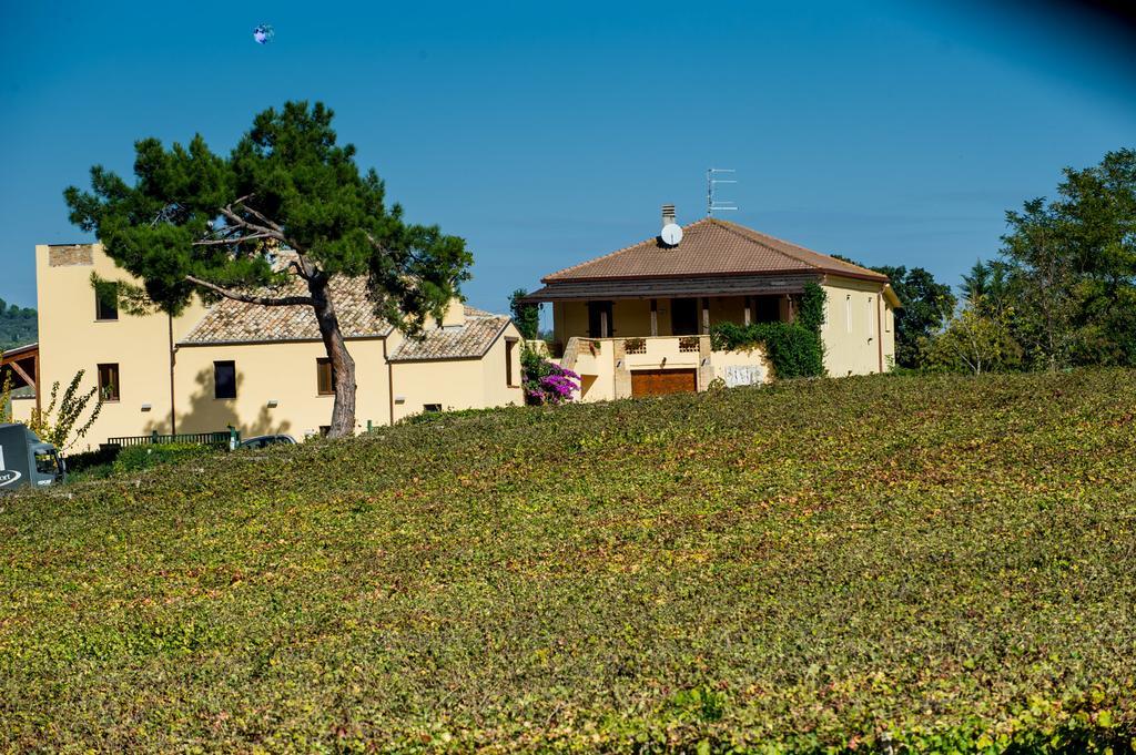 Masseria Del Vino Loreto Aprutino Exterior foto