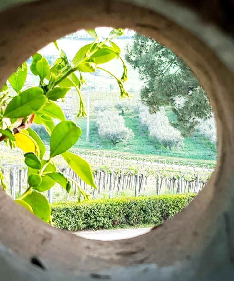 Masseria Del Vino Loreto Aprutino Exterior foto